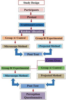 Teaching medical students hematopathology: a randomized crossover study comparing direct inspection by light microscope versus projected images